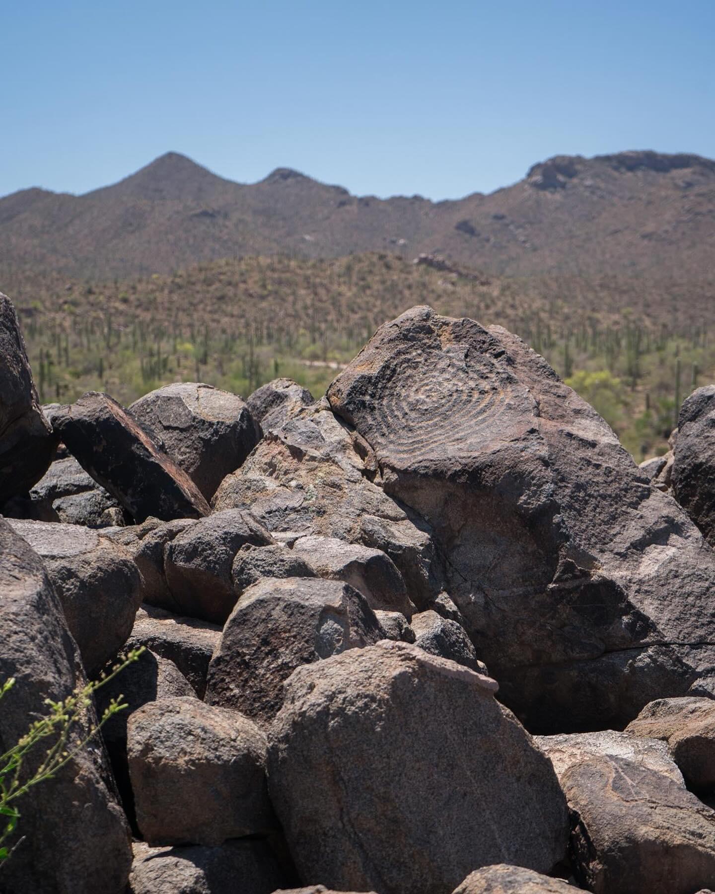Saguaro National Park West