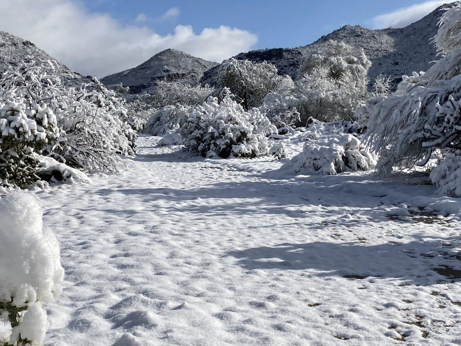 Snow in the Tortolita Mountains