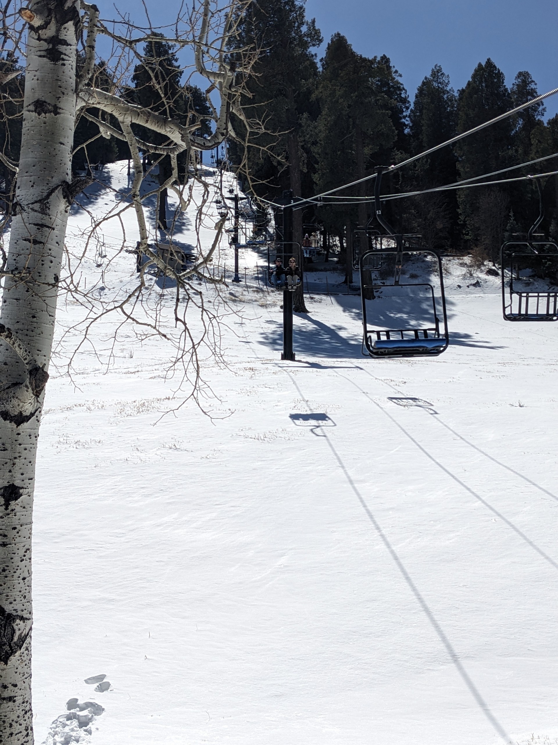 Ski lift at Ski Valley Mount Lemmon